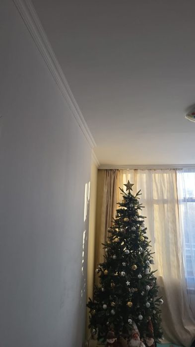 Елка для праздника