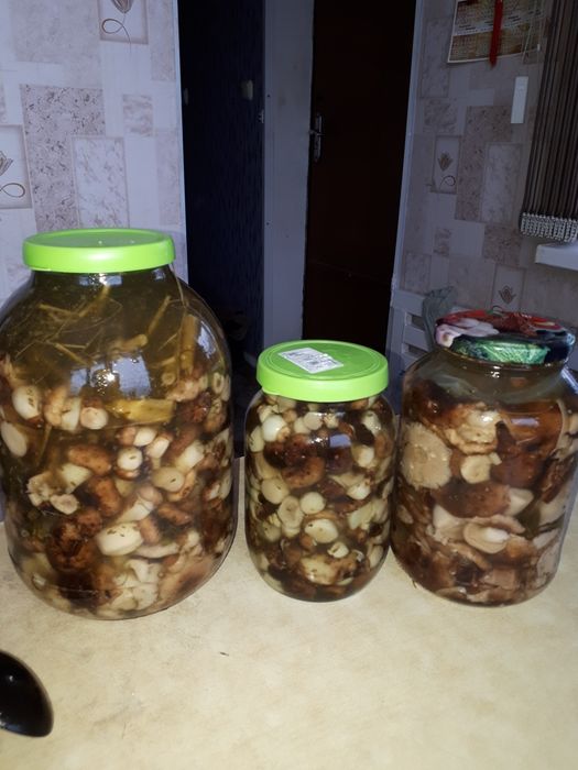 Продам грибы валуи и грузди !!!