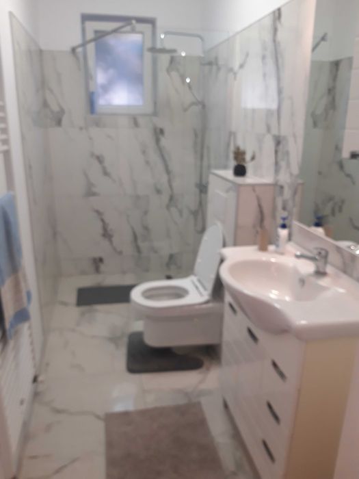 proprietar inchiriez casa in zona linistita