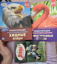 Книги о птицах для детей