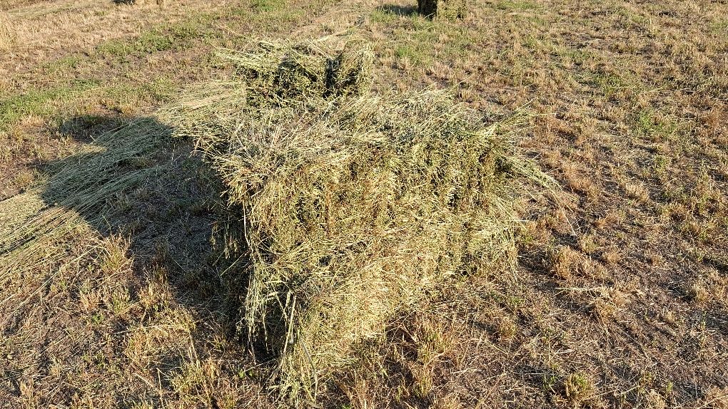 Vând baloți fân amestecat cu lucernă