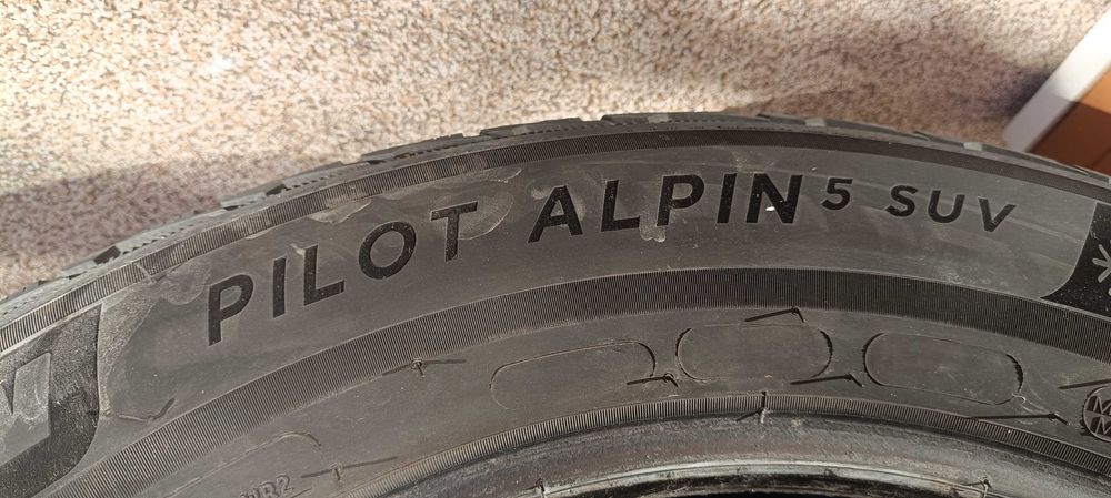 Гуми зимни мишалин