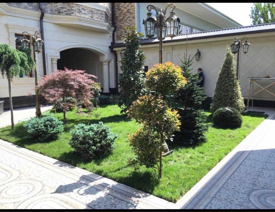 Газон автополив