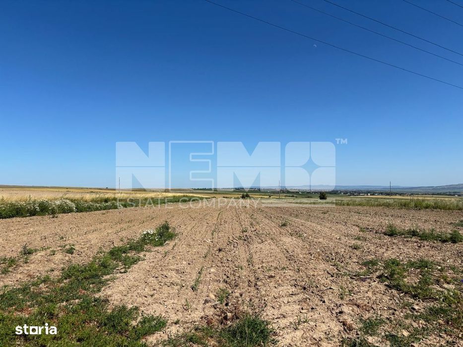 Teren intravilan | 1300 MP | 1000€  arul