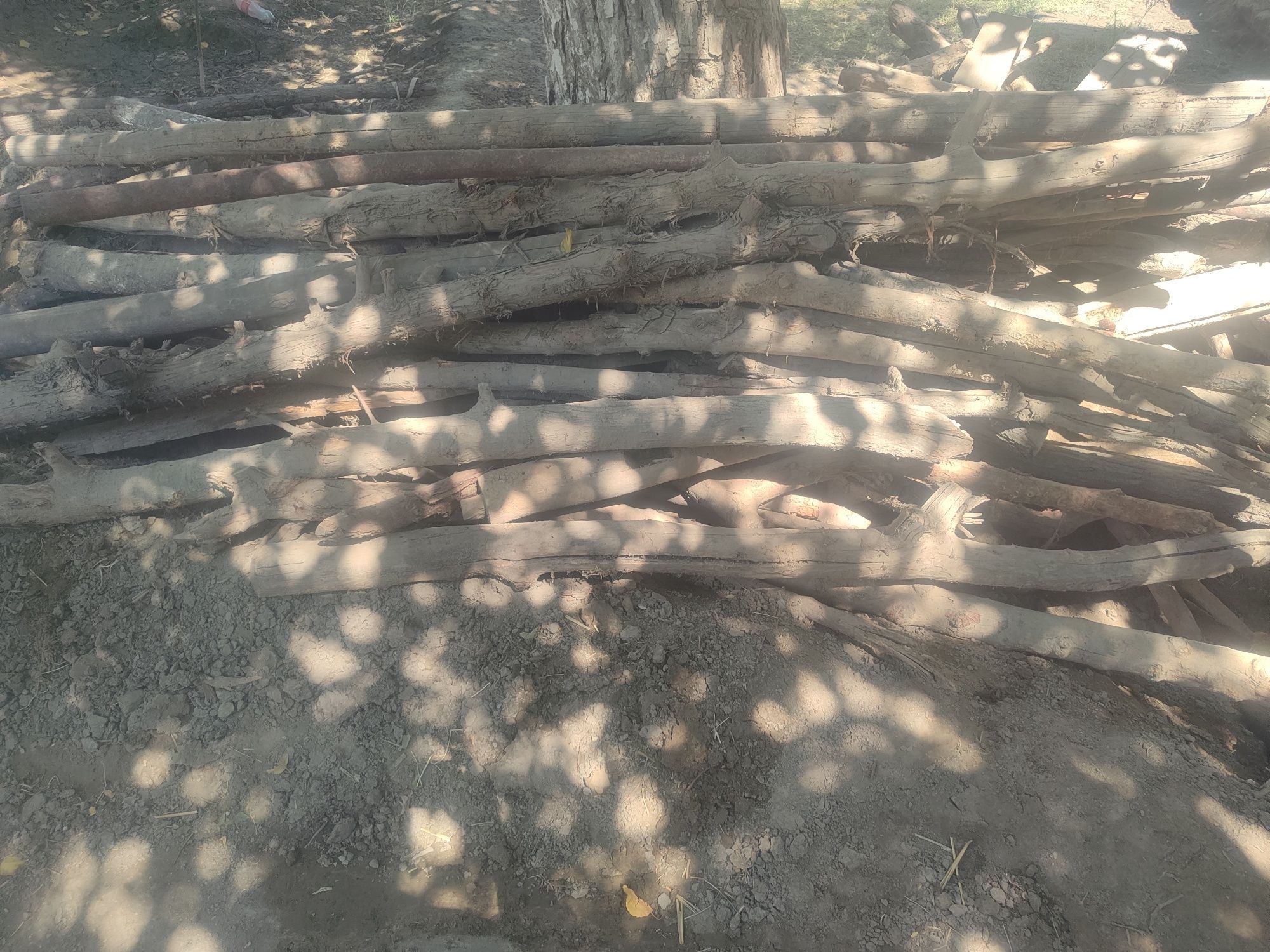 Bolor qalamalar 3.5