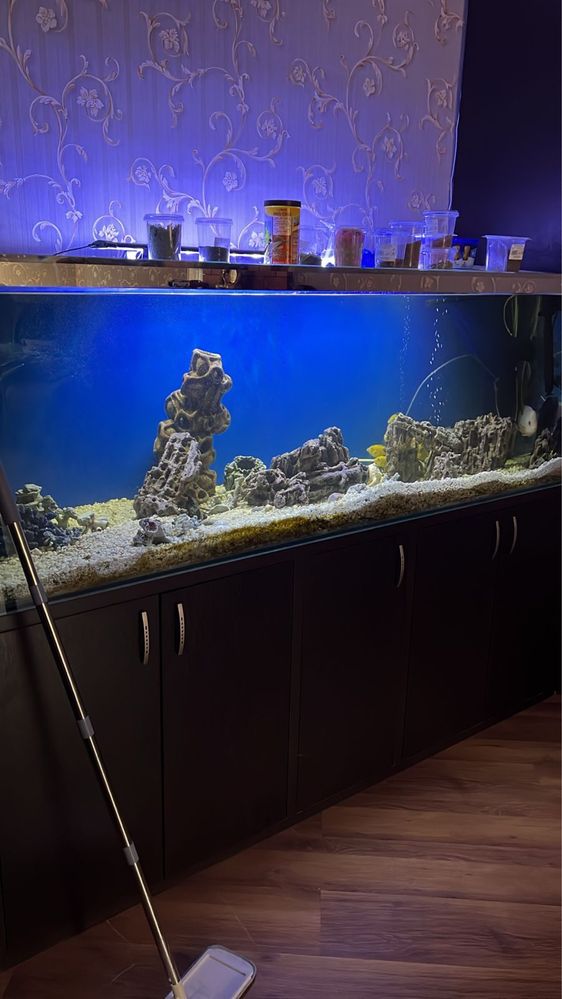 Продам аквариум с рыбками , оборудованием, с декором на 800 литров