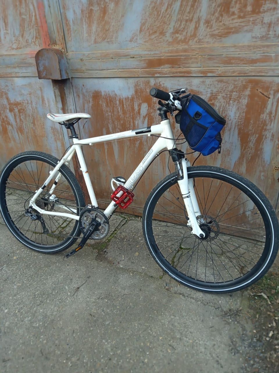 Bicicleta FOCUS XL