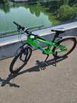 Bicicletă MTB Cygnus Dirt Rider pentru copii