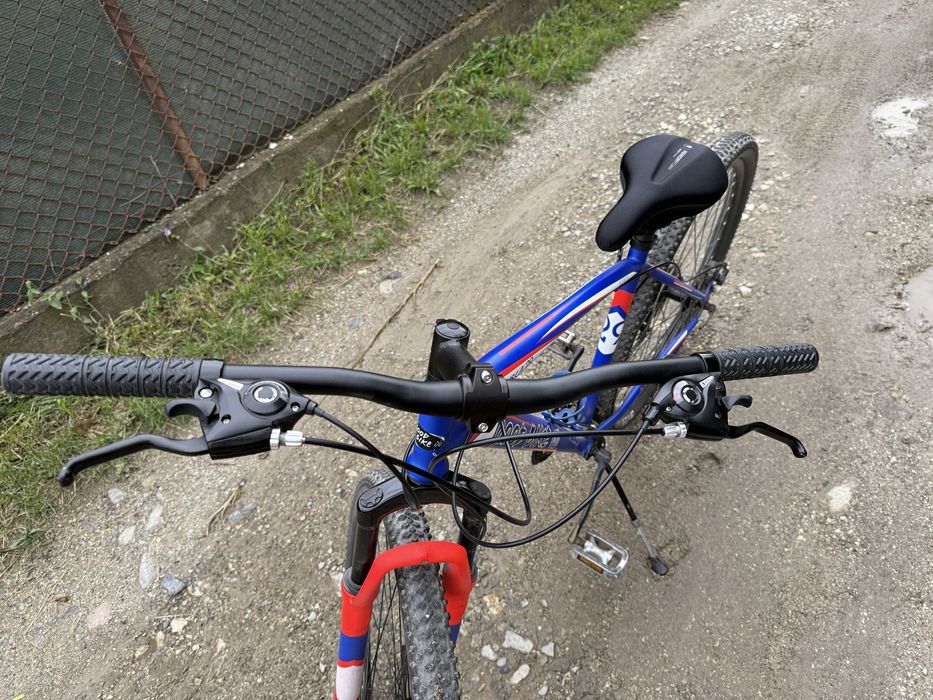 Bicicleta good bike alaska