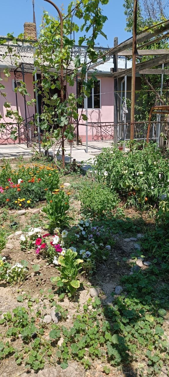 Квартира 5 комнат . Центр Янгиюля.