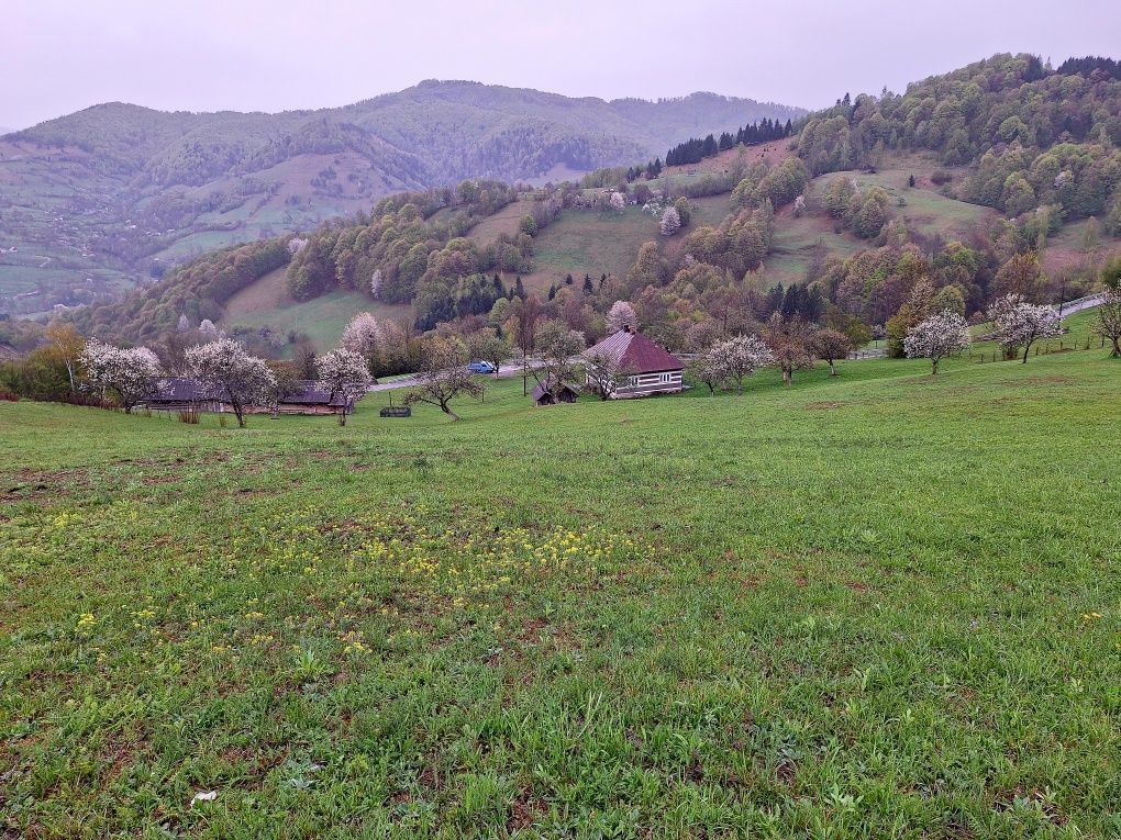 Vând casă cu teren!