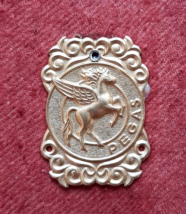 Sigle biciclete Ideal, Victoria, Pegas, rare in aceasta stare