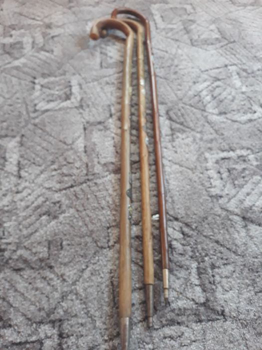 Bastoane pt drumeție,de colecție