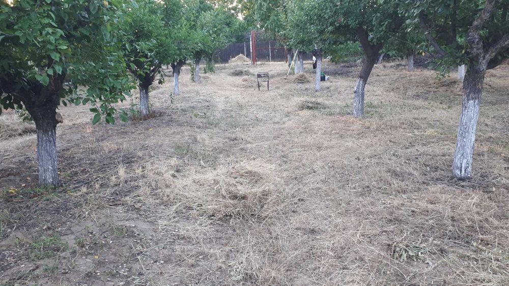 Teren de vânzare în zona Merei