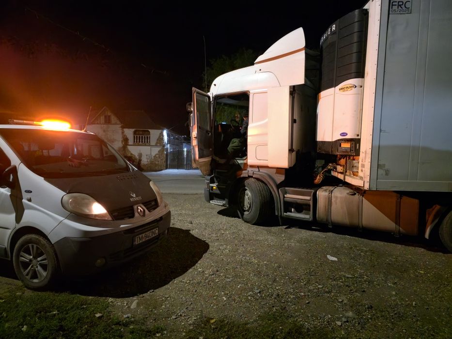 Reparatii/Service Thermo King, Zanotti, Carrier, Schmitz