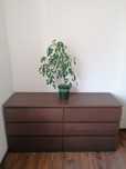 Vand comoda Ikea cu 6 sertare maro/wenge, 160 cm, cu aspect stejar nat