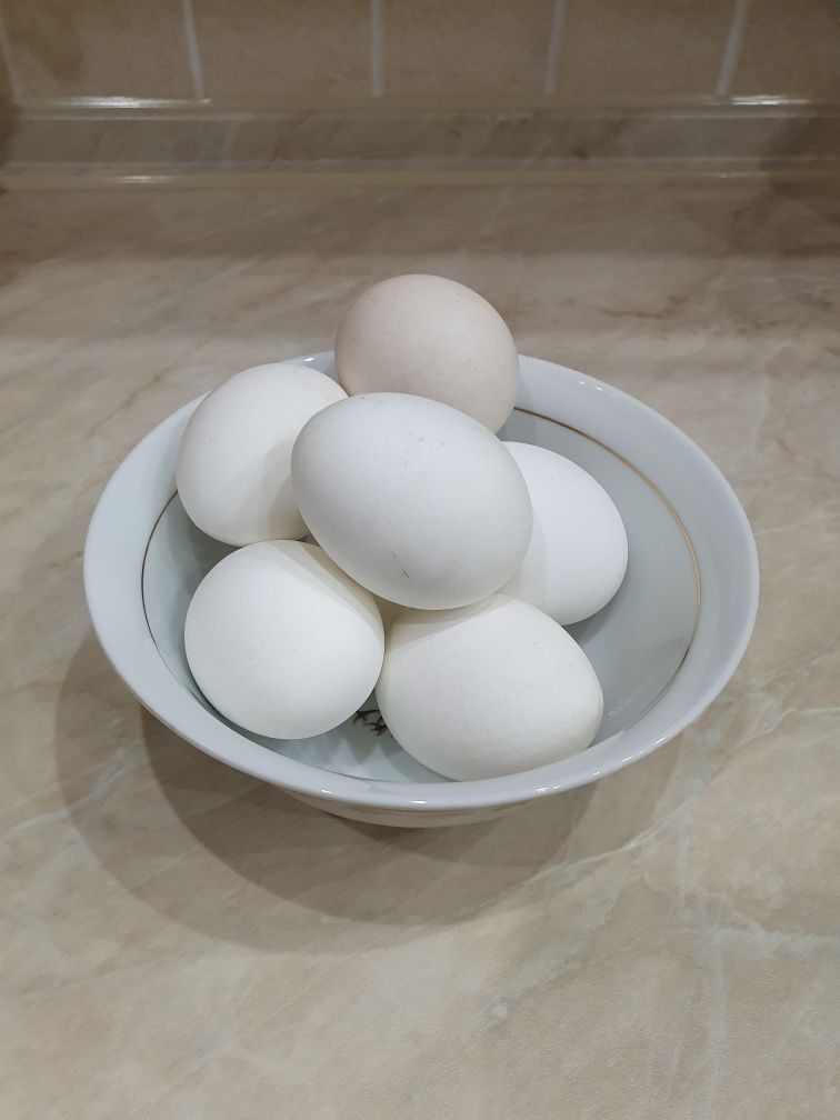 Продам яйцо куриное домашнее