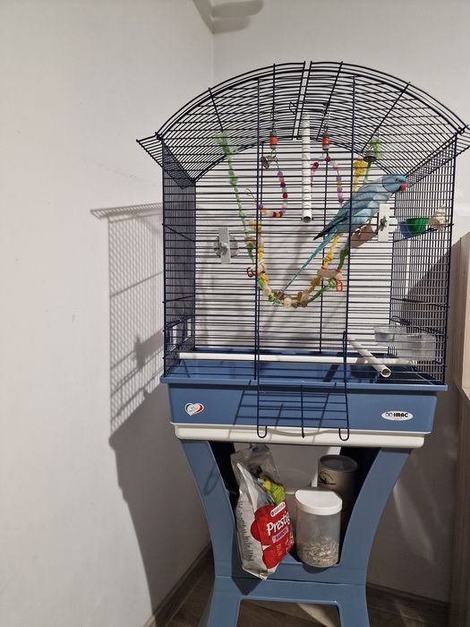 Papagal Micul Alexandru+Colivie