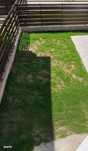 Pallady-Parc Teilor 3 camere, buc inchisa, gradina de 118 mp