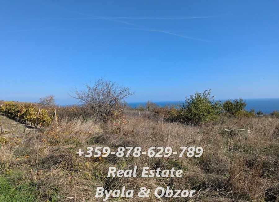 Земеделска зена в гр.Бяла, Варненско