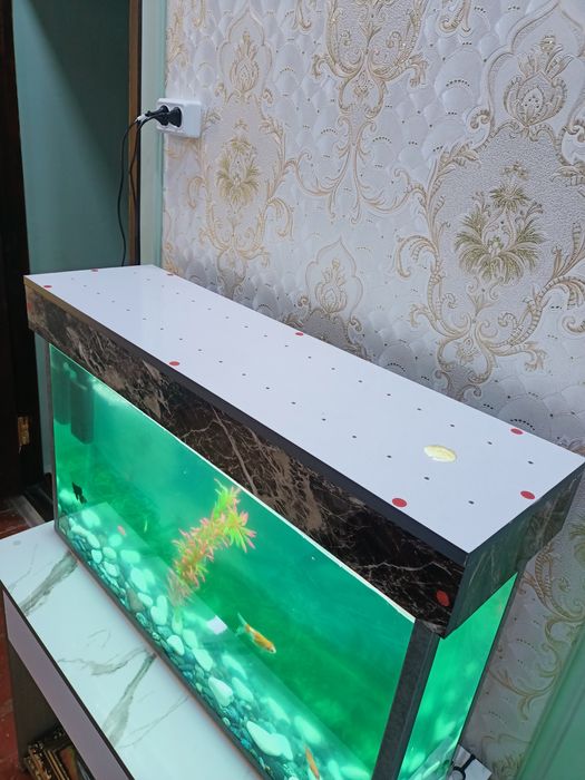 Аквариум сотилади баликчалари Билан 9 та балик размер акварум 90х50х20