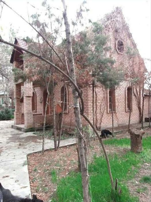 Дача на 54 сотках в Тузель под зону отдыха, лагерь и прочее