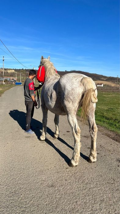 Vand iapa buna de caruta
