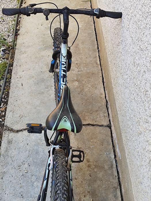 Bicicleta Sprint