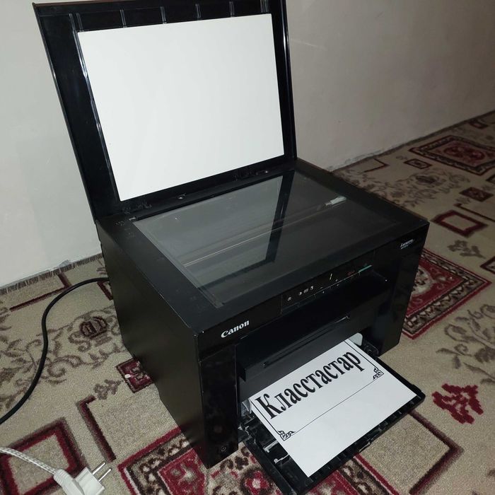 Принтер CANON 3010
