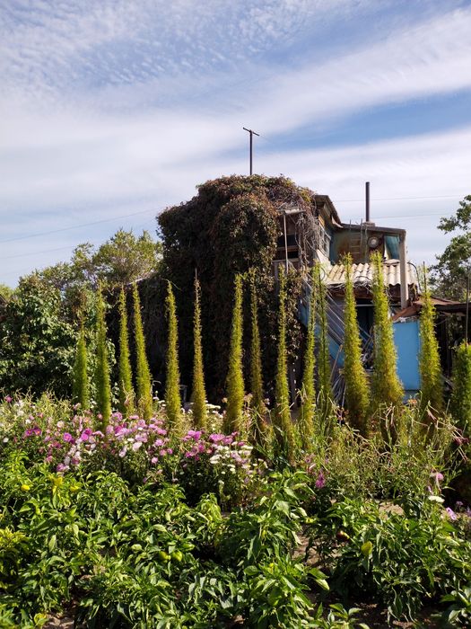 Продается дача 16,73 соток