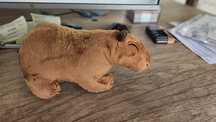 Capybara de plus Oferta!!! 2 buc la 40 de lei