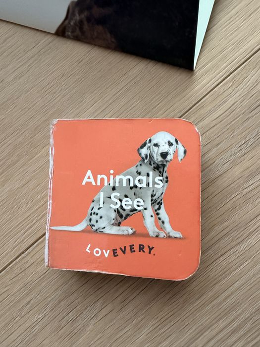 Set Lovevery 11-12 luni The Thinker