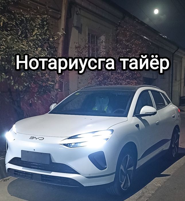 Byd sea leon 06 2025