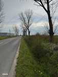 Teren extravilan de vanzare – Cateasca, Arges | 27.201 mp | Deschide
