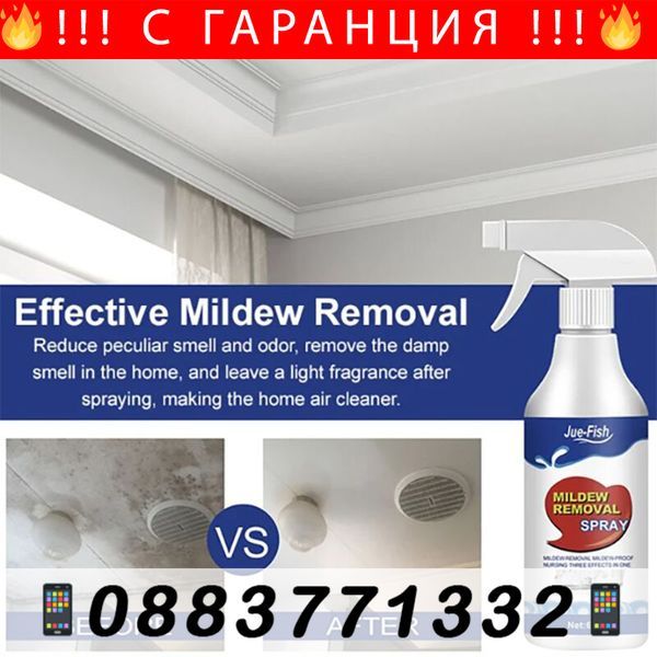 Средство за премахване на мухъл и плесен с дълготраен –MoldWallRemover