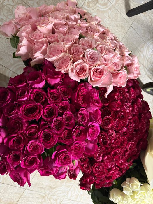 Продам 101 розу.