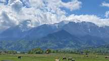 Teren intravilan în Glajarie Brașov 1400 m2 peisaj de poveste.