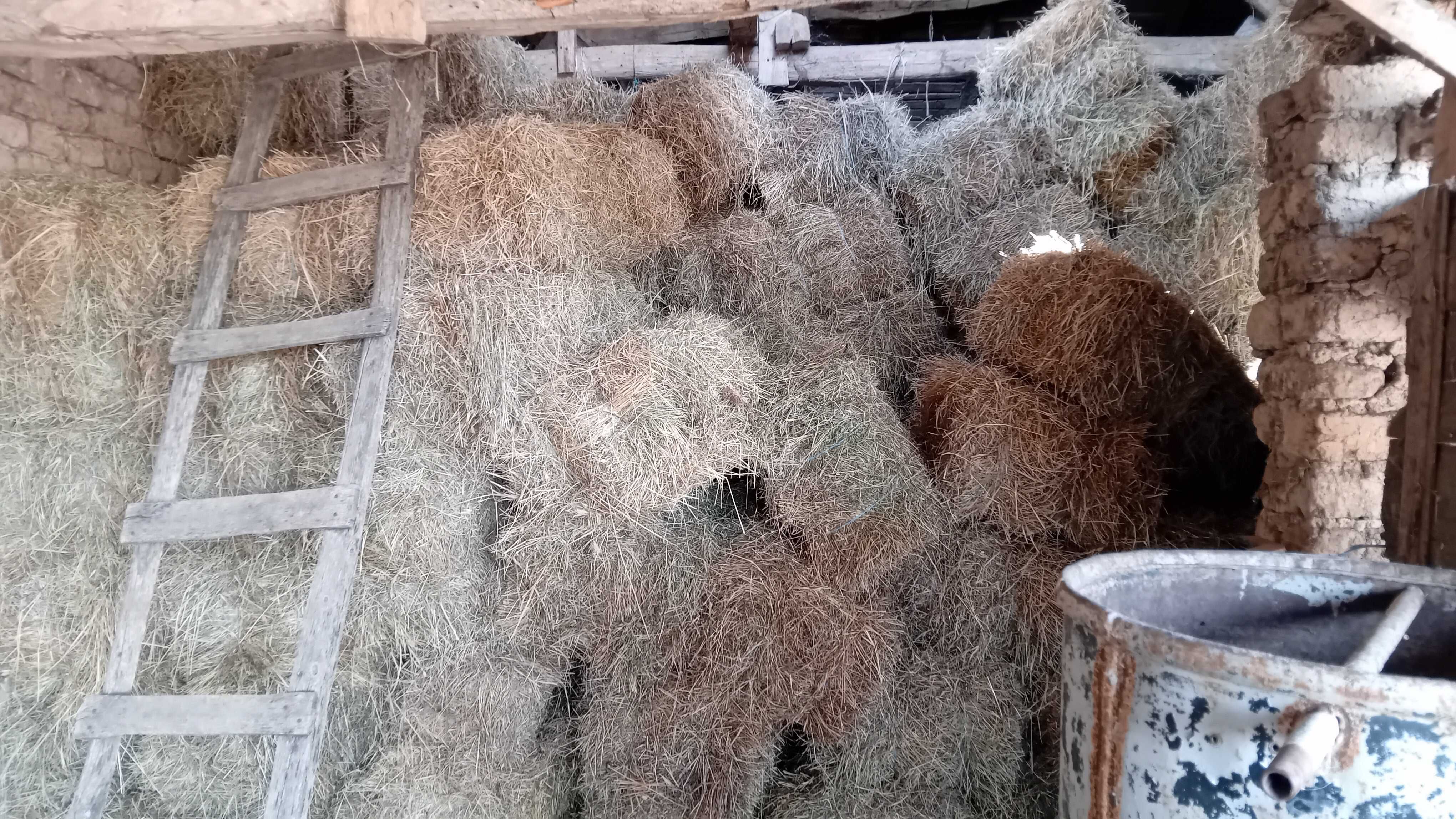 продавам бале сено и фи