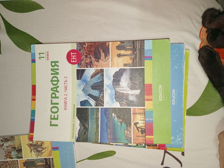 Книги, подготовительные к ент, по географии за 11 класс