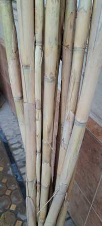 Стебли бамбука для ландшафтного дизайна