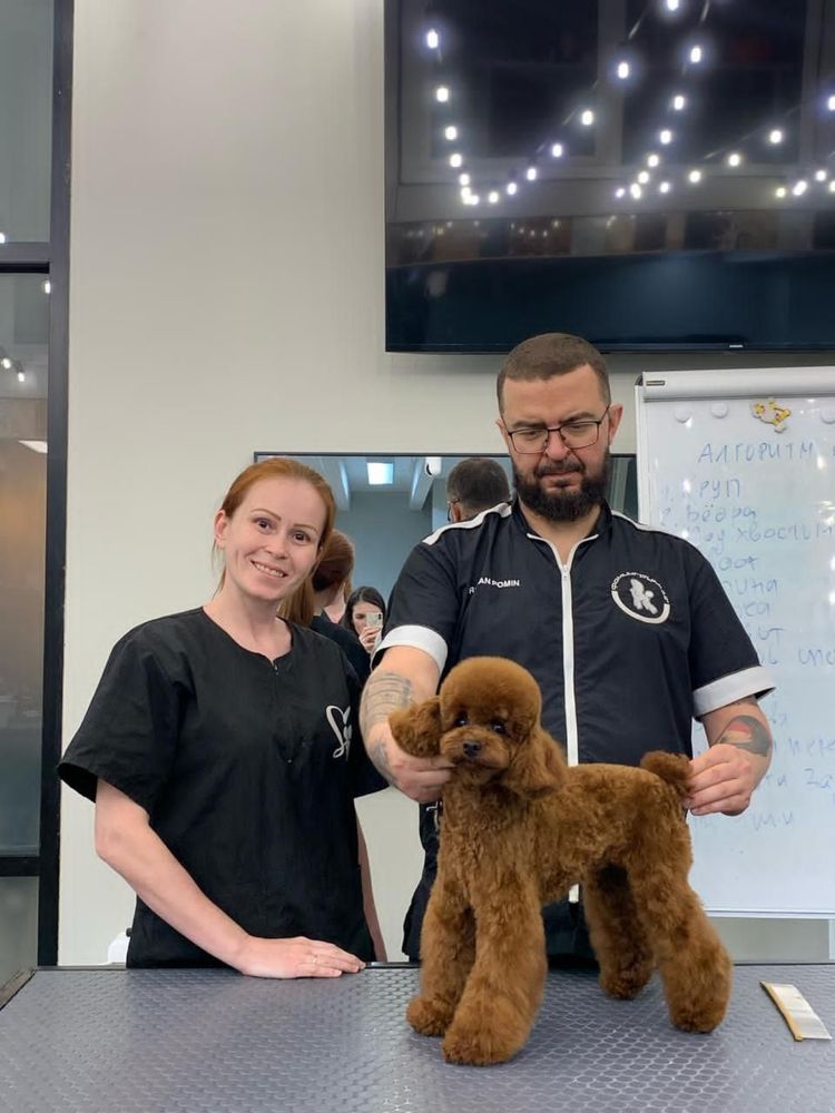 Зоогостиница LUX VET передержка ваших питомцев в самом сердце Ташкента