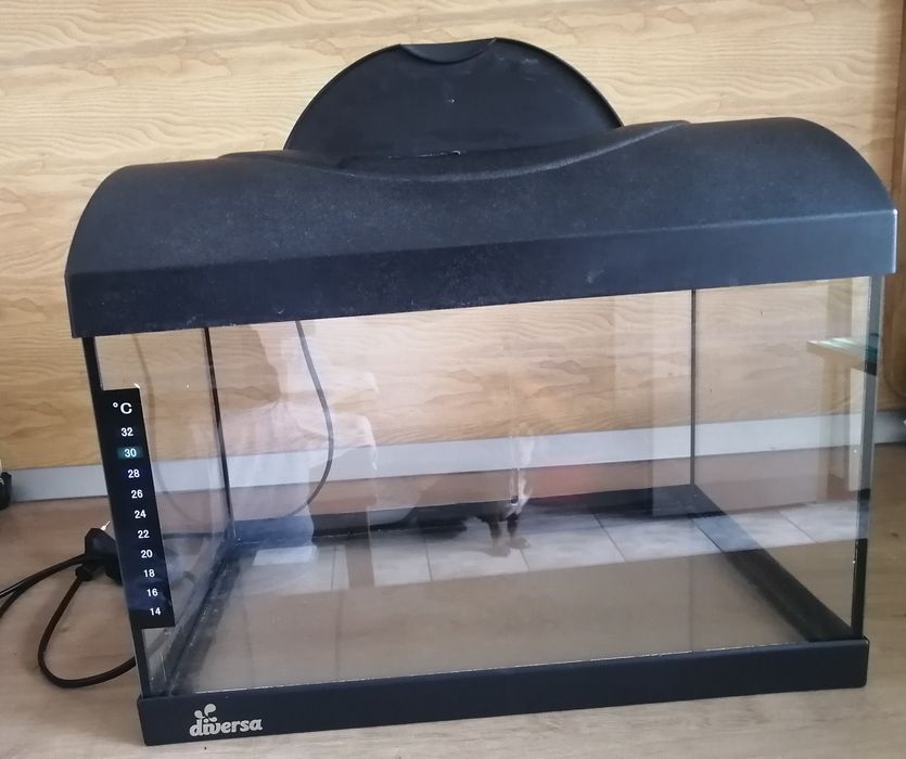Acvariu Diversa 25L