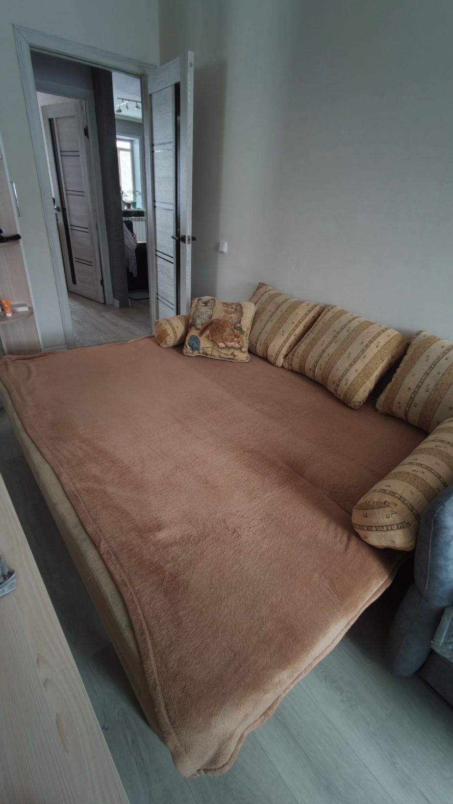 Раскладной диван для гостиной