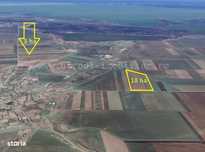 vanzare ferma agricola cu teren agricol irigabil 21ha, cladiri,utilaje