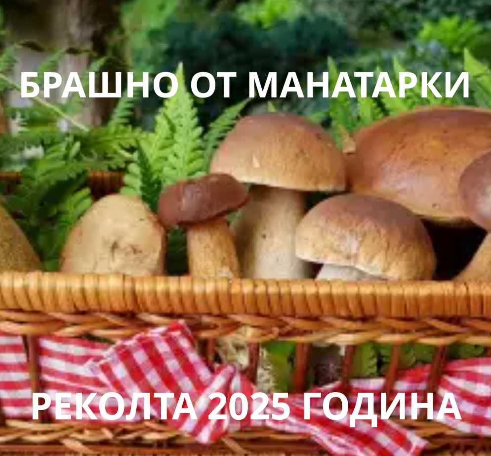 Манатарка-Брашно