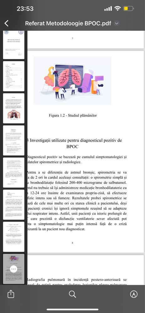 Referate/eseuri/proiecte/prezentări școlare