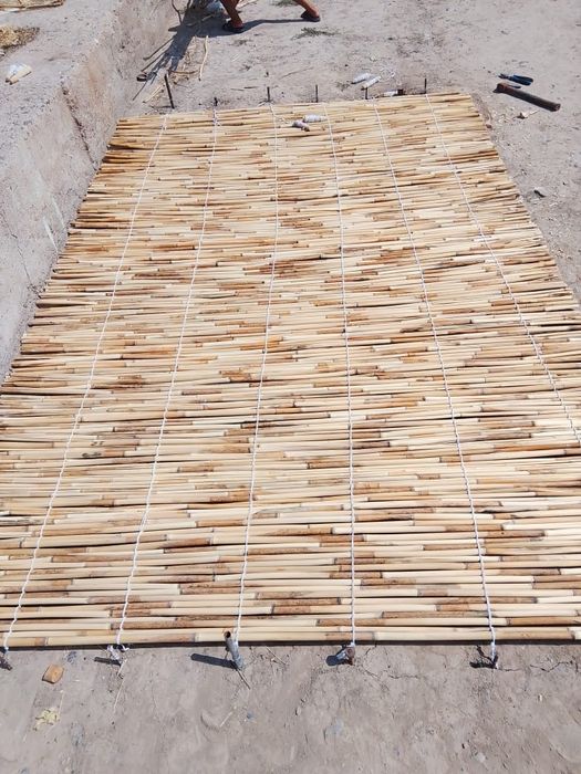 Камыс ши бар ...