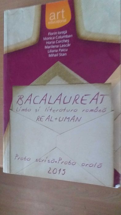 Bacalaureat   pentru Limba si literatura romana, Profil real si uman