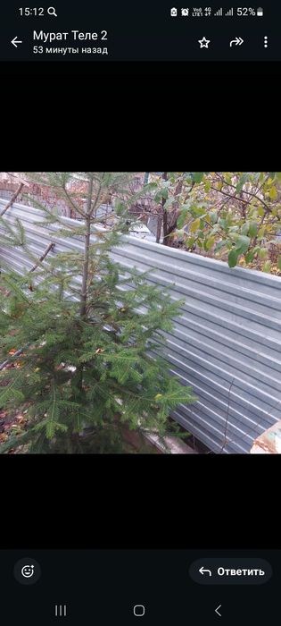 Продам пихта продам