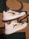 Adidasi Puma Accelerate 43
